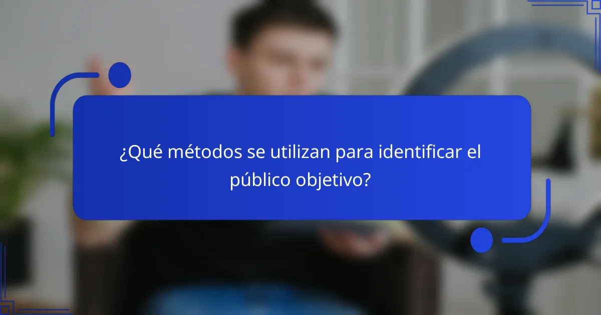 ¿Qué métodos se utilizan para identificar el público objetivo?