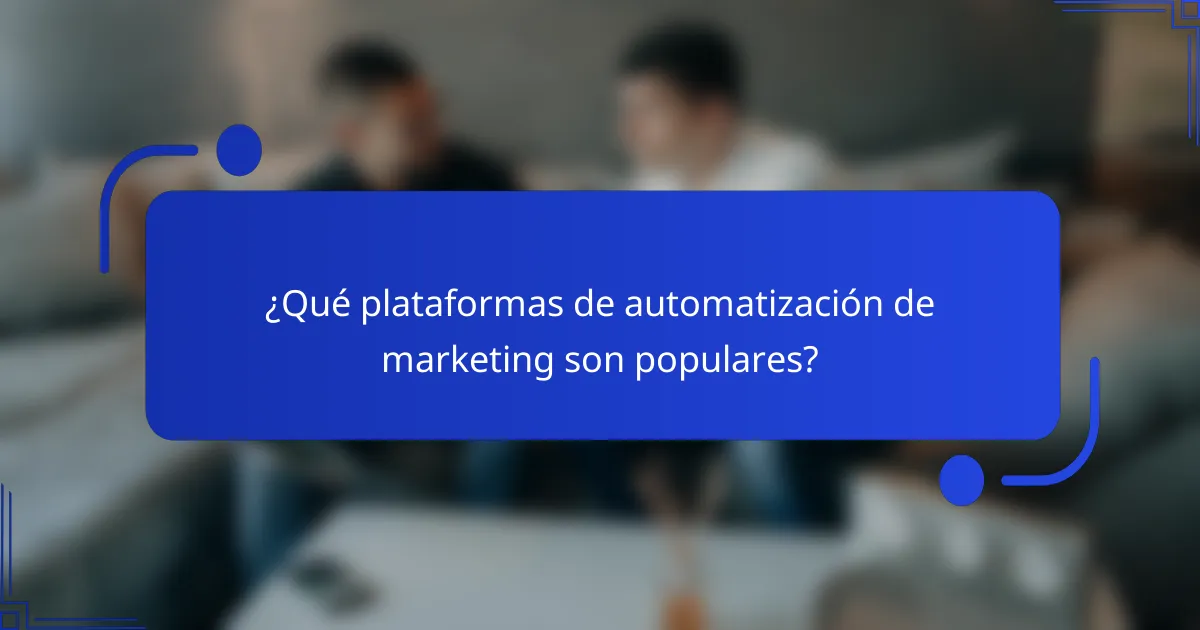 ¿Qué plataformas de automatización de marketing son populares?